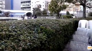 538精品在线视频国产